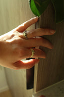 En hånd med to Melodie ringer, en ring i gull og en i sølv. Begge har oliven farget zirconia sten. Hånden lener seg på en brun treflate. Det er et vakkert lys fra sola som skinner på hånden. Det er grønne blader i høyre hjørne. Ringene glitrer i sollyset.